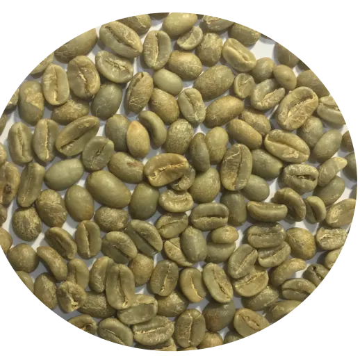 Green Bean Arabica Lào/kg (>5kg)
