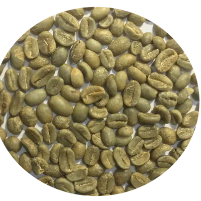 Green Bean Arabica Lào/kg (>5kg)