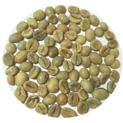 Vietnam Bean