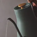Fellow Stagg EKG PRO 0.9L Smoke Green with Maple Handle, Europe 19