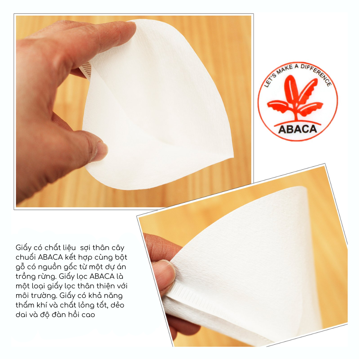 Cafec Filter MC1 V60-01 100 White MD T90 8