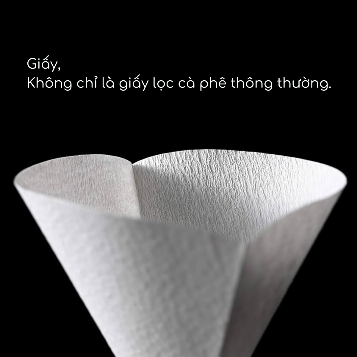 Cafec Filter DC4 V60-02 100 White Dark T83 2