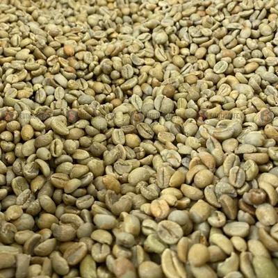 Blagu Cà Phê Nhân Robusta Honey S16 / Bao 60kg)