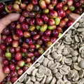BLAGU Roasted Bean Colombia - 1KG 8