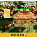 Ethiopia Guji Hambela Wamena Akrabi - Blagu Roasted bean 100g 5