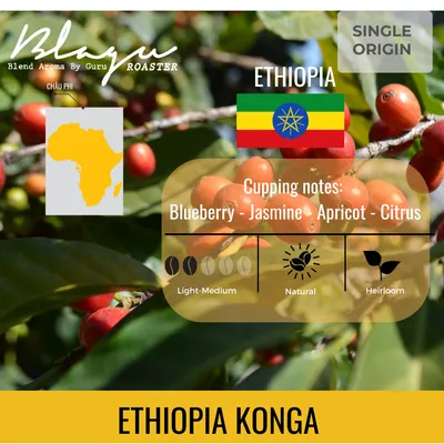 Blagu Roasted Ethiopia Gedeb - 250g