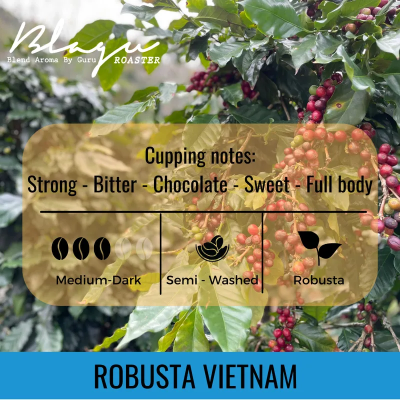 BLAGU Roasted Bean Robusta Honey - 500g