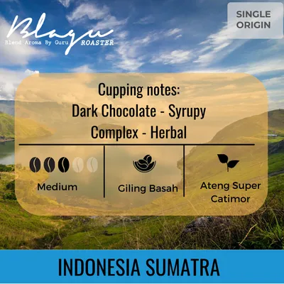 Combo 3 Túi Cà Phê BLAGU Hạt Đã Rang Indonesia Sumatra- Medium Roast- 100g