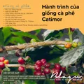 BLAGU Roasted Bean Việt Nam Pha Phin - 1000g 12