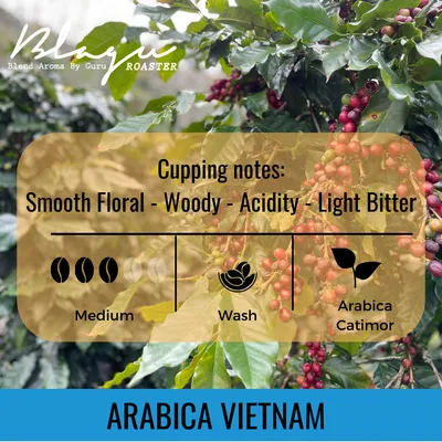 BLAGU Coffee Roasted Beans Arabica Cat Dat