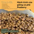 Blagu Roasted Peru Peaberry 250g 11