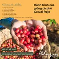 BLAGU Roasted Bean Nicaragua - 250gr 8
