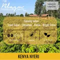 Blagu Roasted Bean Kenya Nyeri 250gr 5