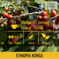Pack 10 x BLAGU Roasted Bean Ethiopia N.Konga - 250g 11