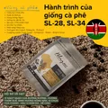 BLAGU Roasted Bean Nicaragua - 250gr 9