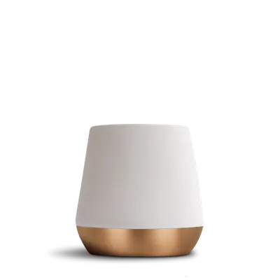 Fellow Joey Mug - 235ml - Matte White