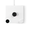 Part Fellow Stagg PRO EKG Base - Matte White (EU, 220V, F Plug) 10