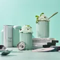 Fellow Carter Move - 475ml - Mint Chip 19