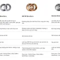 Master Kit | Fellow và Chemex bao gồm máy xay Ode & Bình thủy tinh Chemex 3 cups 6