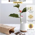 Fellow Joey Mug - 235ml - Matte White 24