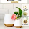 Fellow Joey Mug - 235ml - Matte White 23
