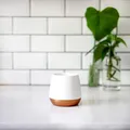Fellow Joey Mug - 235ml - Matte White 20