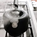 Fellow Raven Stovetop Kettle - Black For Tea 6