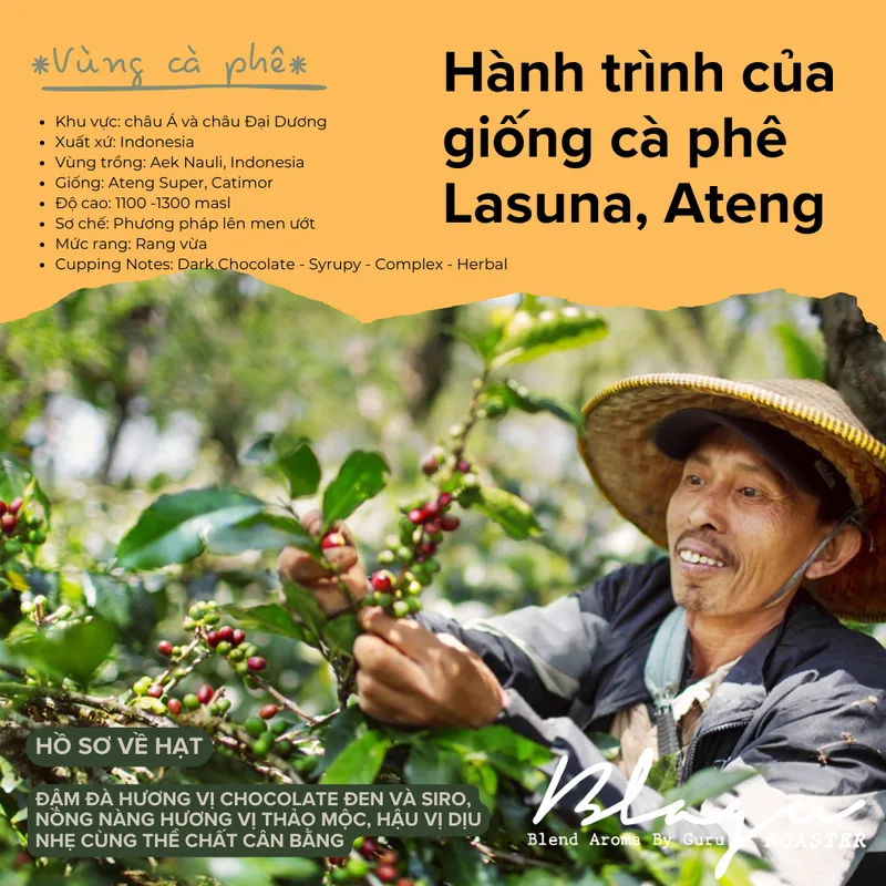 Blagu Roasted Indonesia (g)