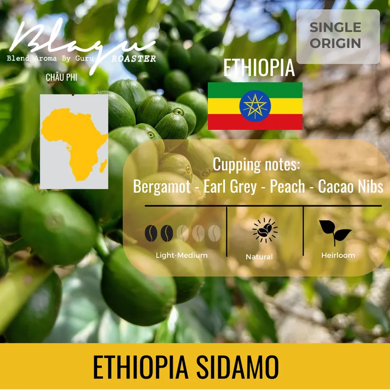 BLAGU Roasted Bean Ethiopia Sidamo G4 - 250g