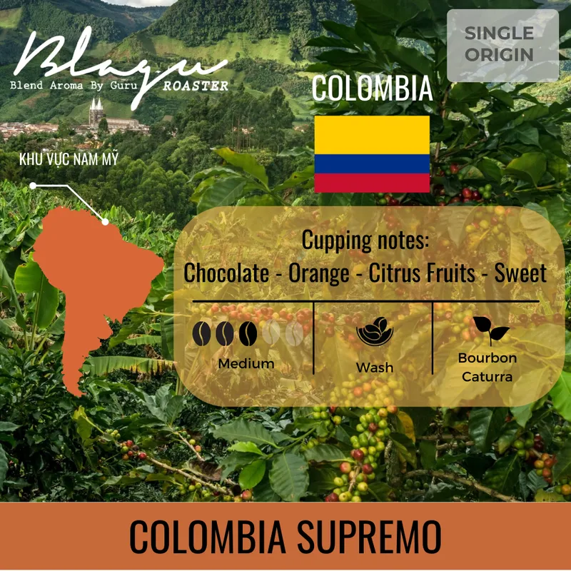 BLAGU Roasted Bean Colombia - 250g