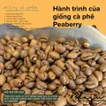 Blagu Roasted Peru Junin Chanchamayo 250g 3