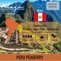 Blagu Roasted Peru Junin Chanchamayo 250g 2