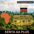 [Premium] BLAGU Roasted Bean Kenya AA Plus - 250g 7