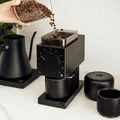 Fellow Ode Brew Grinder Sweet Burrs 13