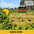 BLAGU Coffee Roasted Beans Kenya Nyeri Chiga – Light Medium Roast – 250g 19