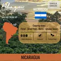 BLAGU Coffee Roasted Beans Nicaragua - Light Medium Roast - 250g 16