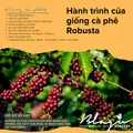 Blagu Cà Phê Nhân Robusta Honey S16 / Bao 60kg) 21