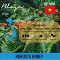 Blagu Cà Phê Nhân Robusta Honey S16 / Bao 60kg) 17