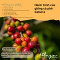 BLAGU Roasted Bean Colombia - 250g 20
