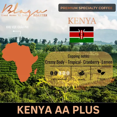 BLAGU Roasted Bean Kenya AA Plus - Light Medium - 250g