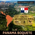BLAGU Coffee Roasted Beans Panama Boquete – Medium Roast – 250g 4