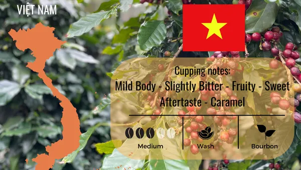 VIỆT NAM – SỰ TRỖI DẬY CỦA GÃ KHỔNG LỒ ĐANG NGỦ (PHẦN I)