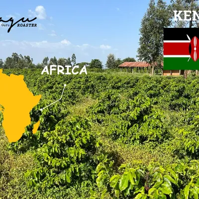 Peru — Linh hồn dãy Andes