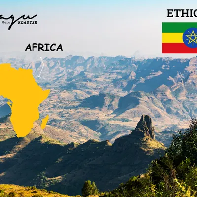 Kenya — Vương miện cà phê châu Phi