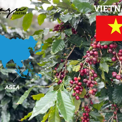 Guatemala — Nguồn gốc cà phê Guatemala