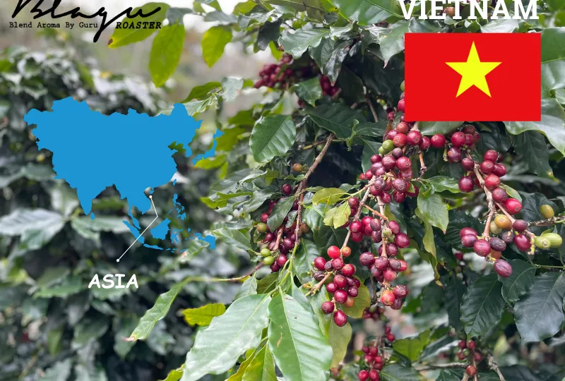 Việt Nam — Linh Hồn Cao Nguyên