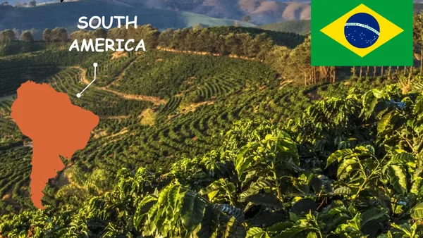 Brazil — Vùng Đất Của Sự Phồn Thịnh