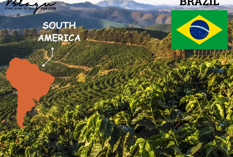 Brazil — Vùng Đất Của Sự Phồn Thịnh