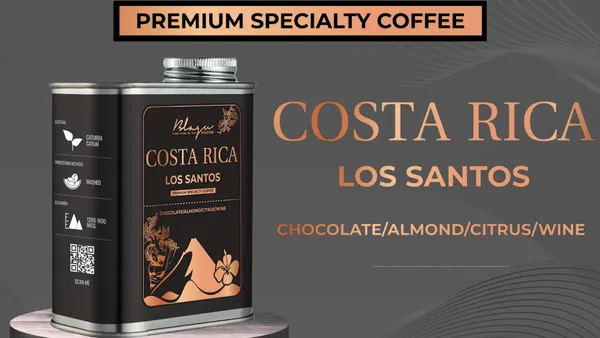 Costa Rica Los Santos — Cuộc Cách Mạng Thầm Lặng Của Cà Phê Chính Xác