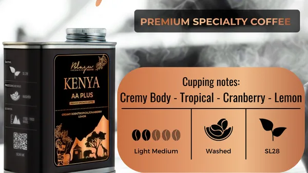 Kenya — Vùng Đất Cao Nguyên, Di Sản và Hành Trình Cà Phê Đáng Nhớ